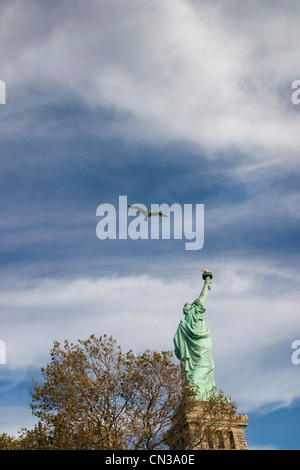 Vogel fliegt über Statue of Liberty, New York Stockfoto