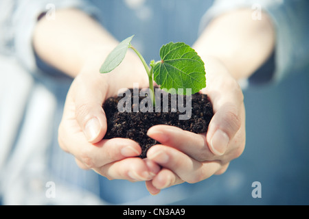 Junge Frau mit Strohhut, portrait Stockfoto
