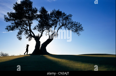 Person beim Golfen unter Baum Stockfoto