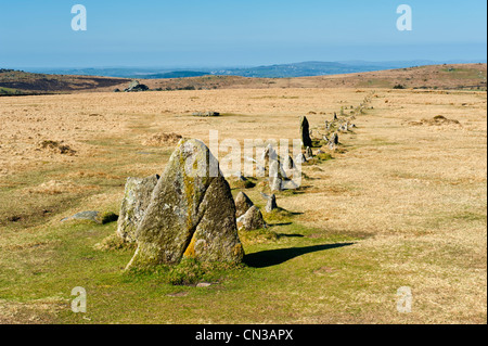 Merrivale ist und auf Dartmor Nationalparks wo gibt es eine Anzahl von prähistorischen Monumenten, Stein Zeilen Steinsärge, Kreise usw.. Stockfoto