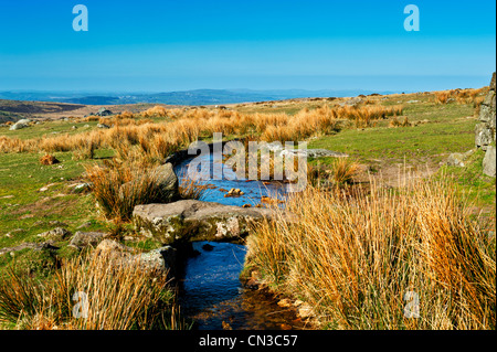 Merrivale ist und auf Dartmor Nationalparks wo gibt es eine Anzahl von prähistorischen Monumenten, Stein Zeilen Steinsärge, Kreise usw.. Stockfoto