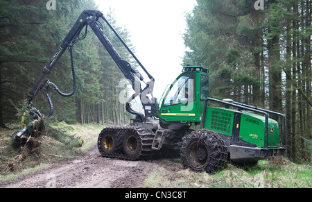 Forstwirtschaft Bäume in den Wald mit einem John Deere Harvester in der Nähe von Ae Dorf, Dumfries and Galloway, Schottland, Großbritannien Stockfoto