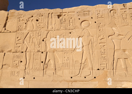 Hieroglyphen im Tempel des Amun in Karnak Tempel, Luxor, Ägypten Stockfoto