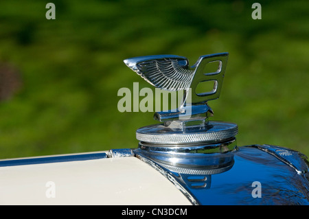 Nahaufnahme eines geflügelten Maskottchen auf einem alten Bentley-Oldtimer Stockfoto