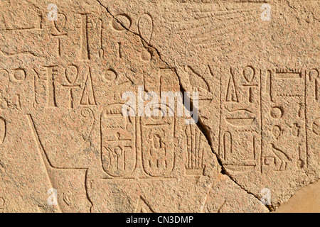 Hieroglyphen im Tempel des Amun in Karnak Tempel, Luxor, Ägypten Stockfoto