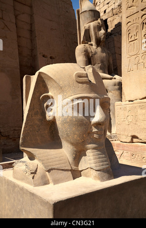 Kopf des Pharaos im Luxor-Tempel, Luxor, Ägypten Stockfoto