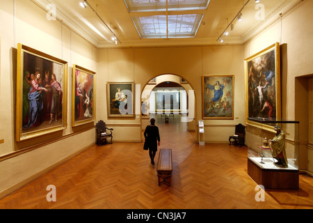 Frankreich, Tarn, Castres, Goya-museum Stockfoto