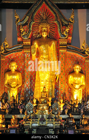 Goldenen Buddha im Inneren Tempel, Wat Chedi Luang, Chiang Mai, Provinz Chiang Mai, Thailand Stockfoto