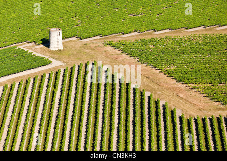 Frankreich, Charente, Touzac, Cognac Weinberge (Luftbild) Stockfoto