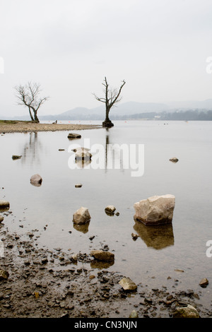 Eine Muschel Wintermorgen am Ullswater Stockfoto