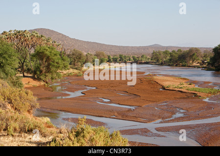 Samburu National Reserve, Kenia Landschaft Fluss Stockfoto