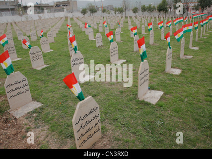 Ein Denkmal von Halabja in Irakisch-Kurdistan. Im Sumpf 16: th 1988 wurde die Stadt von Saddam Husseins Armee angegriffen. 5000 wurde durch Gas getötet. Betrieb Anfal Stockfoto