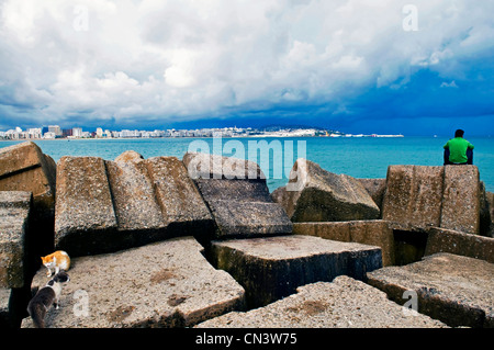 Marokko, Tanger Tetouan Region Überblick über Tanger Stockfoto