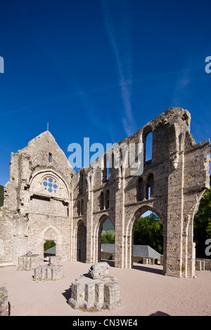 Frankreich, Haute Savoie, Chablais, Saint Jean d'Aulps, Ruinen der Abtei d'Aulps in der Dranse de Morzine Stockfoto