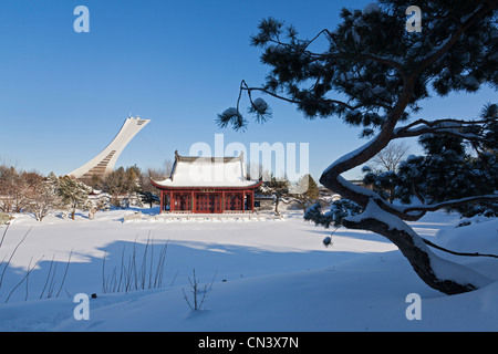 Kanada, Provinz Quebec, Montreal, der Botanische Garten in den Schnee, der chinesische Garten und Pagode Stockfoto