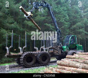 Kommerzielle Forstwirtschaft ein Spediteur, Geländewagen, Kommissionierung Aufarbeitung schneiden Bäume Holz im Wald Forestry Commission, UK Stockfoto