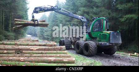 Kommerzielle Forstwirtschaft ein Spediteur, Geländewagen, Kommissionierung Aufarbeitung schneiden Bäume Holz im Wald Forestry Commission, UK Stockfoto