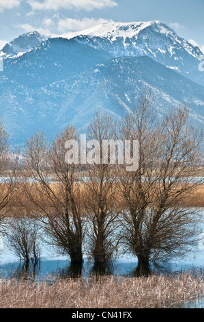 Der stymphalischen See im Frühjahr Hochwasser im südlichen Korinthia, Peloponnes, Griechenland. Stockfoto