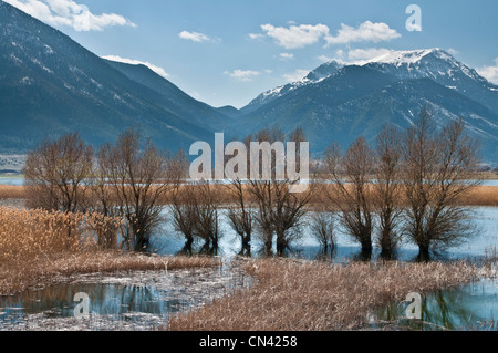 Der stymphalischen See im Frühjahr Hochwasser im südlichen Korinthia, Peloponnes, Griechenland. Stockfoto