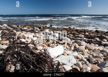 Kap der guten Hoffnung, Kap-Halbinsel, Südafrika Stockfoto