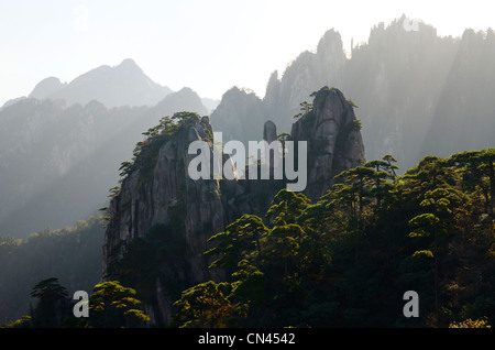 Sonne-Streifen auf Kiefern auf Kamel zurück Gipfeln aus erfrischenden Terrasse Nordsee Huangshan Yellow Mountain Volksrepublik China Stockfoto