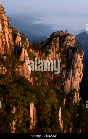 Stein Affe das Meer peak an der ersten Ampel mit Nebel im Tal von huangshan Yellow Mountain china Stockfoto