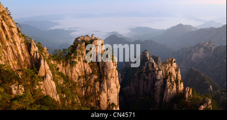 Panorama der Affe das Meer peak in der Dämmerung mit Nebel im Tal von huangshan Yellow Mountain china Stockfoto