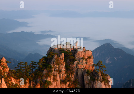 Affen beobachten das Meer Peak an der ersten Ampel mit Nebel im Tal am Huangshan Yellow Mountain Volksrepublik China Stockfoto