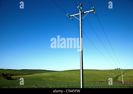 Stromleitungen und grüne Wiese. Blauer Himmel. Stockfoto