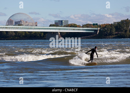 Kanada, Provinz Quebec, Montreal, Surfer am St.-Lorenz-Strom zwischen dem Stadthafen und Ile Sainte Helene, in der Stockfoto