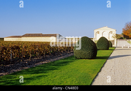Frankreich, Gironde, Pauillac, Château Mouton Rothschild, Weinberg und Wein lagern Stockfoto