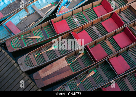 Stocherkähne mieten am Fluss Cherwell in der Nähe von Magdalen Bridge, Oxford, England Stockfoto