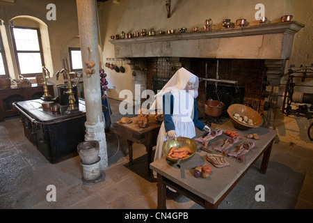 Frankreich, Cote d ' or, Beaune, der Hospices de Beaune, Hotel-Dieu Museum, Küche Stockfoto
