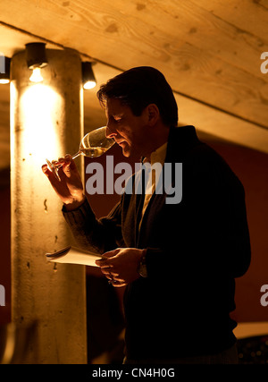 Frankreich, Loire, feature: Margeon blinkt, Wein, Gerard Margeon und ein Glas Weißwein Stockfoto