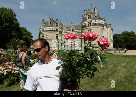 Frankreich, Sarthe, Le Lude, Schloss und Park, im Besitz der Familie Nicolay, Ausstellungen und jährliche Feier der Gärtner Stockfoto