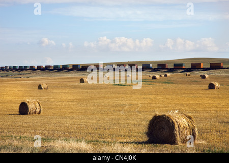 Heuballen im Feld mit Güterzug in Ferne Stockfoto