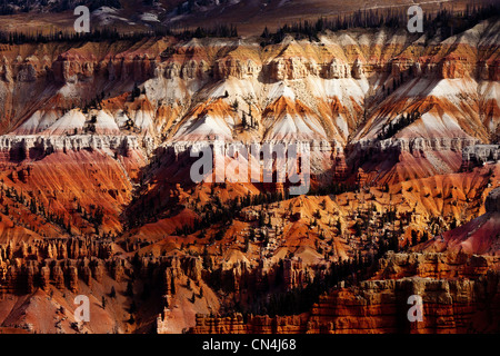 Cedar Breaks National Monument, Utah, USA Stockfoto