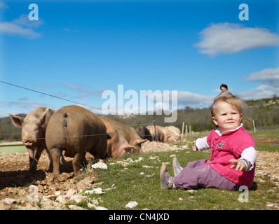 Frankreich, Larzac, Aveyron, feature: Epic Schweinefleisch, kleines Mädchen mit Schweinen Stockfoto