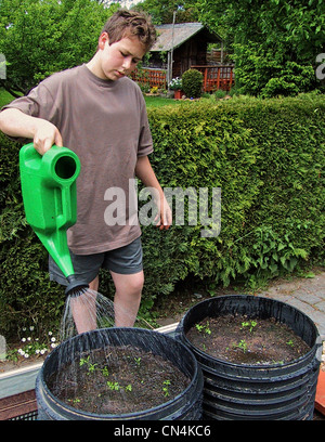 Junge kann Kind mit Bewässerung im Gemüsegarten Stockfoto