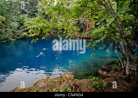 Vanuatu, Provinz Sanma, Insel Espiritu Santo, Matevulu Blue Hole, Touristen in das blaue Wasser schwimmen Stockfoto