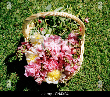 Korb mit Blumen auf der Wiese Stockfoto