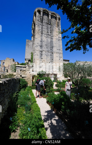 Frankreich, Gard, zahlt d'Uzege, Uzes, der mittelalterliche Garten am Fuße der Türme des Königs und des Bischofs aus der Stockfoto