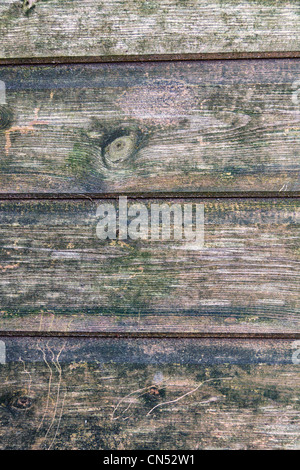 Aus Holz getäfelte Wand ein Gartenhaus Stockfoto