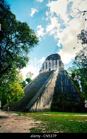 Tikals Tempel V. Stockfoto