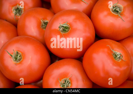 Horizontale Nahaufnahme viel Reife Rindfleisch oder Fleischtomaten in einem Haufen. Stockfoto