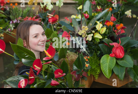 Royal Botanic Gardens in Kew feiern das tropische Extravaganza Festival 2012 mit mehr als 6.500 tropischen Pflanzen. Stockfoto