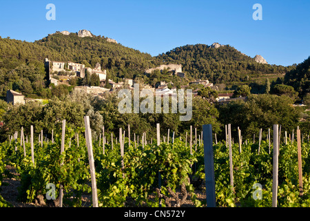 Frankreich, Vaucluse, Baronnies Berge, Gigondas am Fuße der Dentelles de Montmirail, einer Region, die eine berühmte produziert Stockfoto