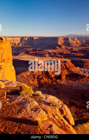 Canyonlands Nationalpark bei Sonnenuntergang von Dead Horse Point, Utah USA Stockfoto