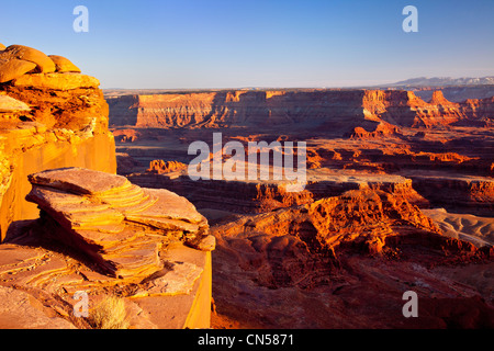 Canyonlands Nationalpark bei Sonnenuntergang von Dead Horse Point, Utah USA Stockfoto