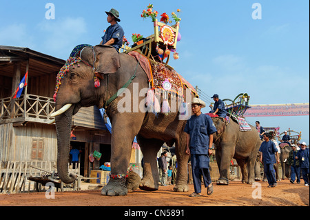 Laos, Sainyabuli Provinz, Hongsa, Elephant Festival, Elefant Prozession der Pagode für die Wahl der schönsten Stockfoto